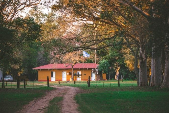 Vista del Parque Nacional Mburucuyá con palmares de yatay