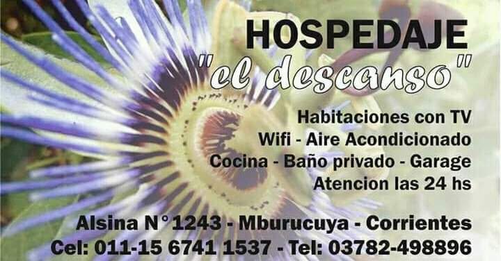 Camping en el Parque